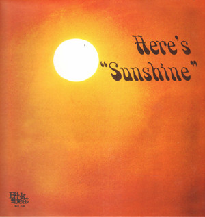 Larry Sunshine Rice - Here's Sunshine | Time-Lag Records (Time-Lag 053) - main