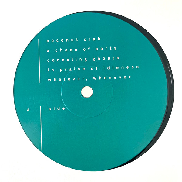 This Town Needs Guns - Disappointment Island | Sargent House (sh157) - 2 This Town Needs Guns - Disappointment Island | Sargent House (sh157) - 2