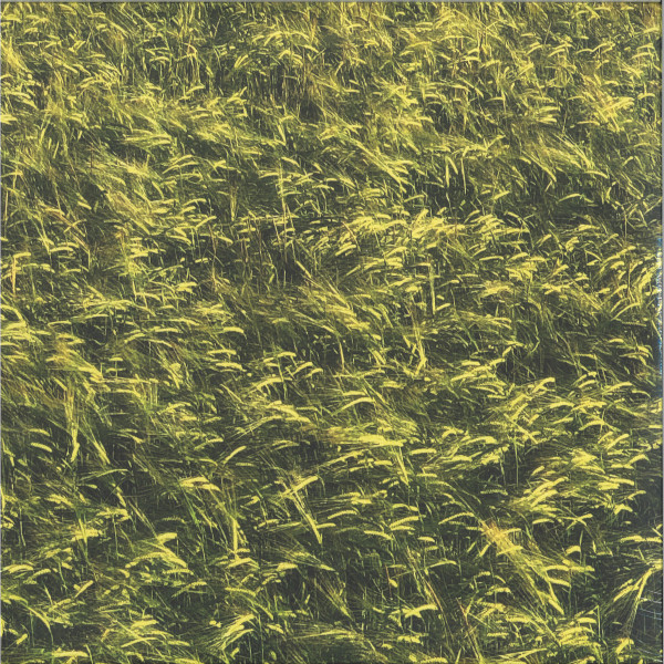 Skee Mask - Pool | Ilian Tape (ITLP09)