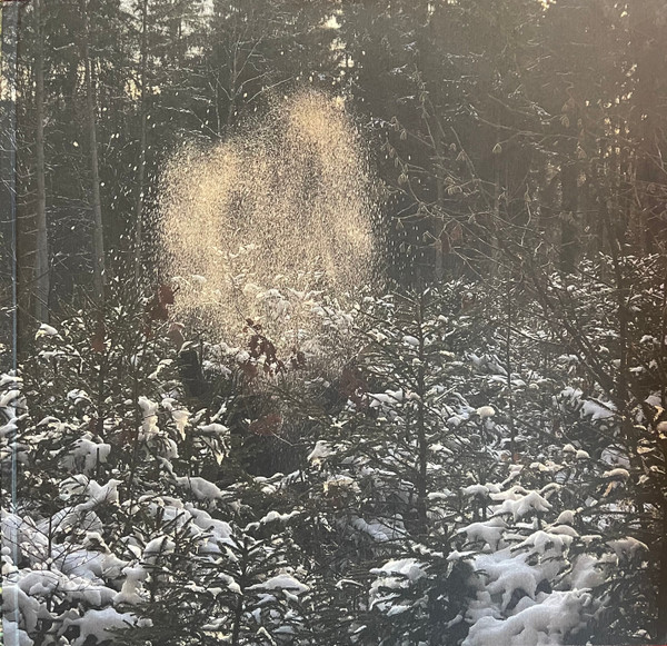 Skee Mask - Pool | Ilian Tape (ITLP09) - 3 Skee Mask - Pool | Ilian Tape (ITLP09) - 3