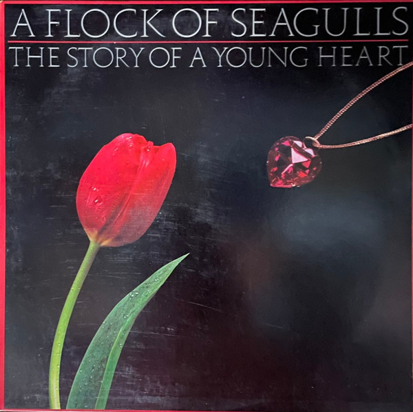The Story Of A Young Heart