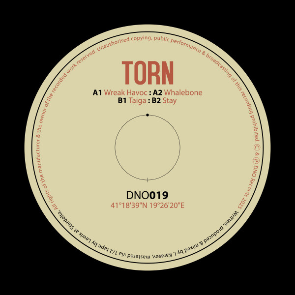 Torn - Taiga EP | Dno Records (DNO019) - main
