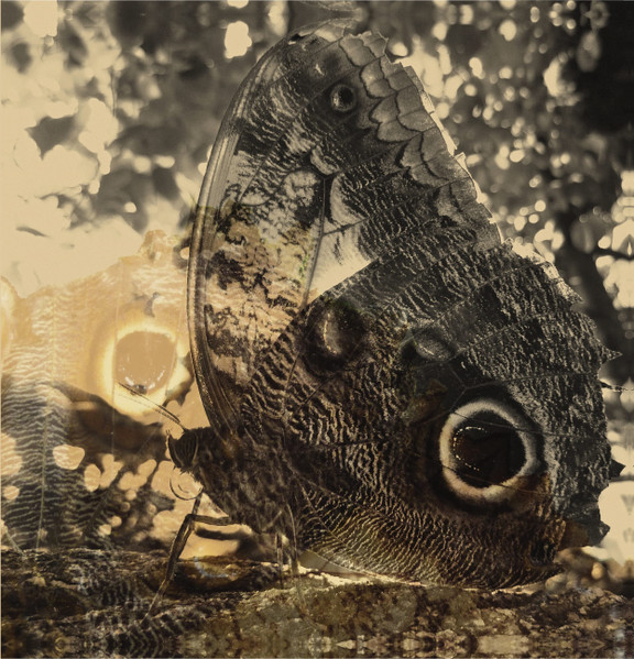 Louise Landes Levi - Ikiru Or The Wanderer | Oaken Palace Records (Oak-013) Louise Landes Levi - Ikiru Or The Wanderer | Oaken Palace Records (Oak-013)