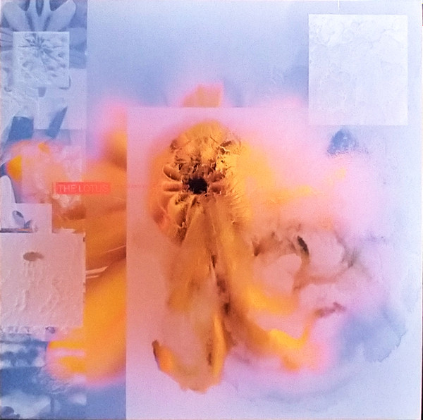 Placid Angles - The Lotus | AD 93 (WHYT 056)