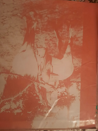 Luiz Gonzaga - 50 Anos De Chão | RCA (1150002) - 4 Luiz Gonzaga - 50 Anos De Chão | RCA (1150002) - 4