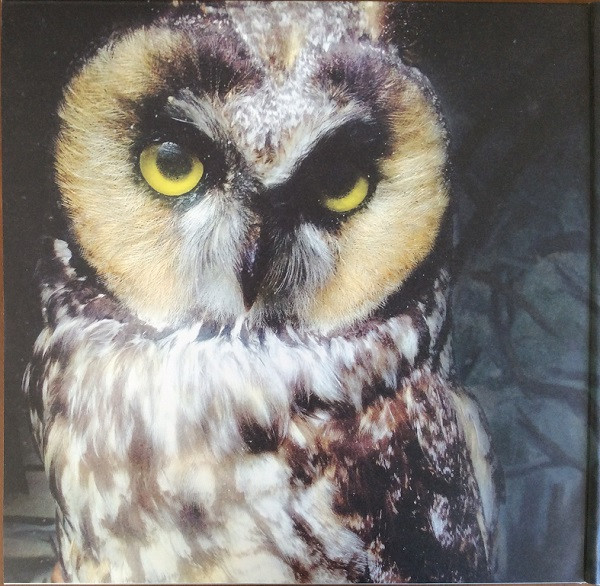 Low - Ones And Sixes | Sub Pop (SP 1144) - 4 Low - Ones And Sixes | Sub Pop (SP 1144) - 4