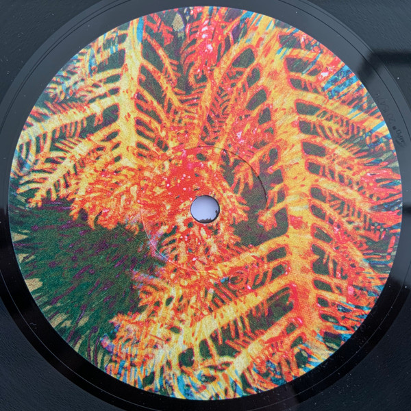 Nummer - Night Confidence | Nummer Music (Numm08) - 2 Nummer - Night Confidence | Nummer Music (Numm08) - 2