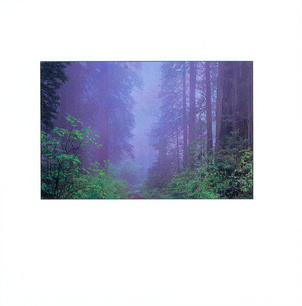 George Winston - Forest | Windham Hill Records (01934 11157 2) - 2