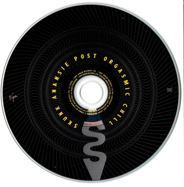 Skunk Anansie - Post Orgasmic Chill | Virgin (CDV 2881) - 3