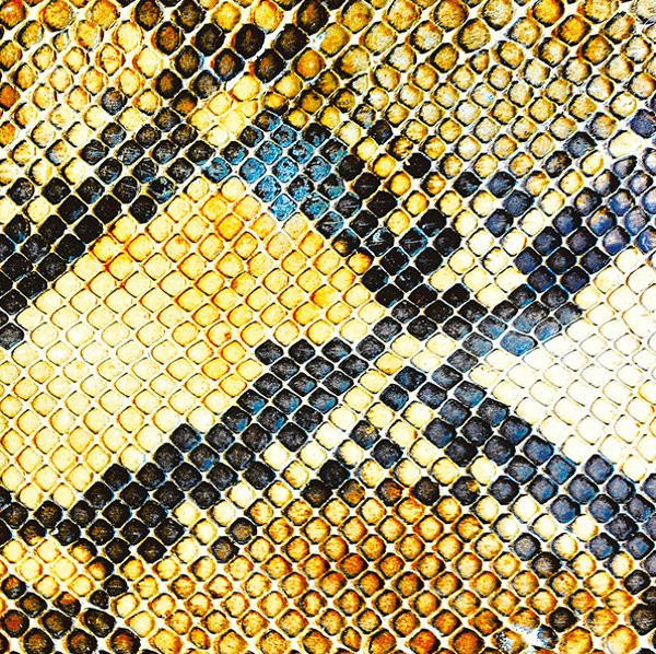 The Amazing Snakeheads - Amphetamine Ballads | Domino (WIGLP316)