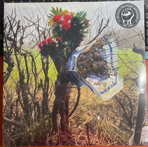 The Black Dog - Sleep Deprivation | Dust Science Recordings (dustv126) - main The Black Dog - Sleep Deprivation | Dust Science Recordings (dustv126) - main