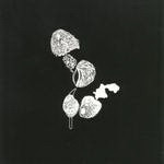 Burnt Hills - Tonite We Ride | Flipped Out Records (FOR19) - main