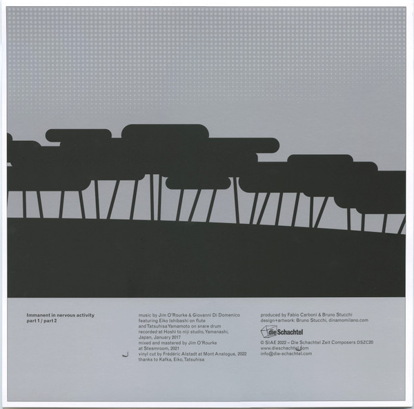 Jim O'Rourke / Giovanni Di Domenico - Immanent In Nervous Activity | Die Schachtel (DSZC20) - 2