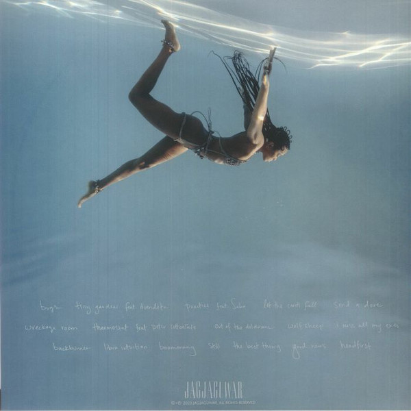 Jamila Woods - Water Made Us | Jagjaguwar (JAG442) - main Jamila Woods - Water Made Us | Jagjaguwar (JAG442) - main