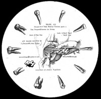 San Proper & Steven De Peven - Proper's A'dam Family Series Part 1 | Rush Hour (RH-LTD 011)