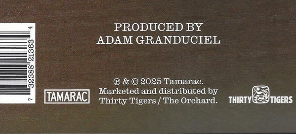 Craig Finn - Always Been | Thirty Tigers (13634 LP) - 3
