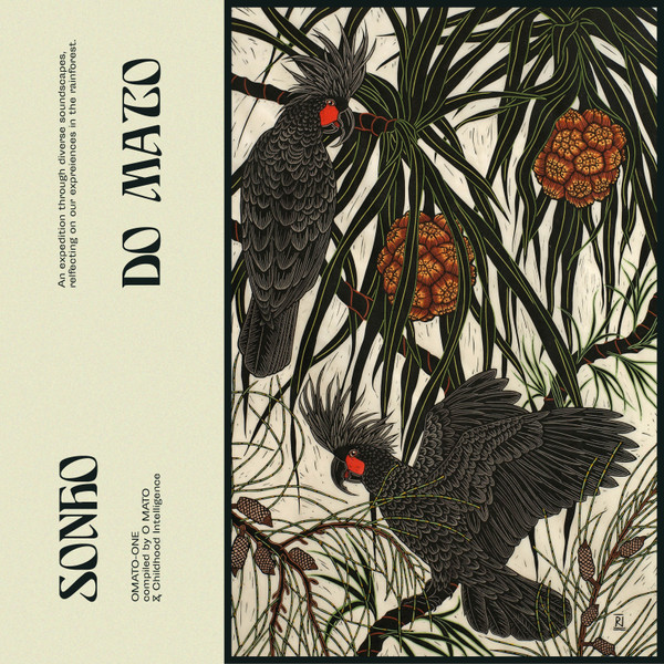 Various - Sonho do Mato | O MATO Recordings (O MATO-ONE) - main Various - Sonho do Mato | O MATO Recordings (O MATO-ONE) - main