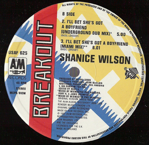Shanice Wilson - I'll Bet She's Got A Boyfriend | Breakout (USAF 625) - 3