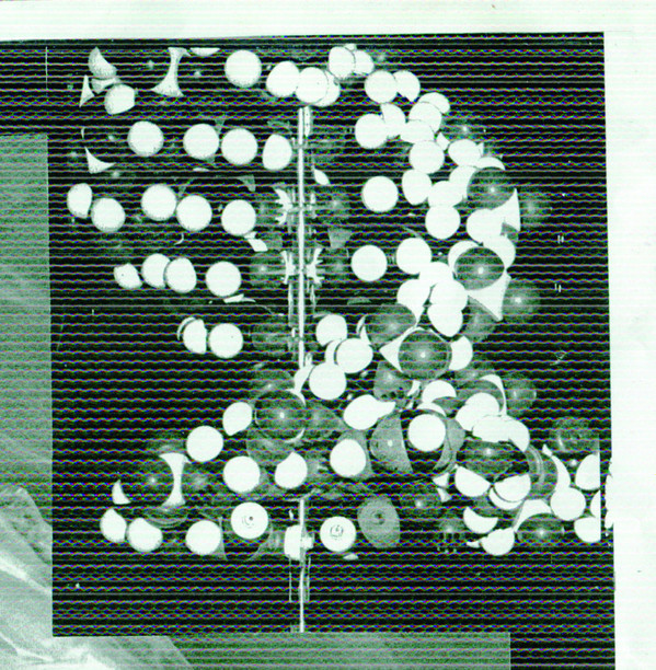 Smegma and L'Autopsie A Révélé Que La Mort Était Due A L'Autopsie - Transmissions Des Fluides | L'eau Des Fleurs (eaudesfleurs005) - main Smegma and L'Autopsie A Révélé Que La Mort Était Due A L'Autopsie - Transmissions Des Fluides | L'eau Des Fleurs (eaudesfleurs005) - main