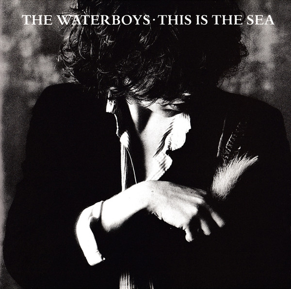 The Waterboys - This Is The Sea | Chrysalis (CCD 1543) - main