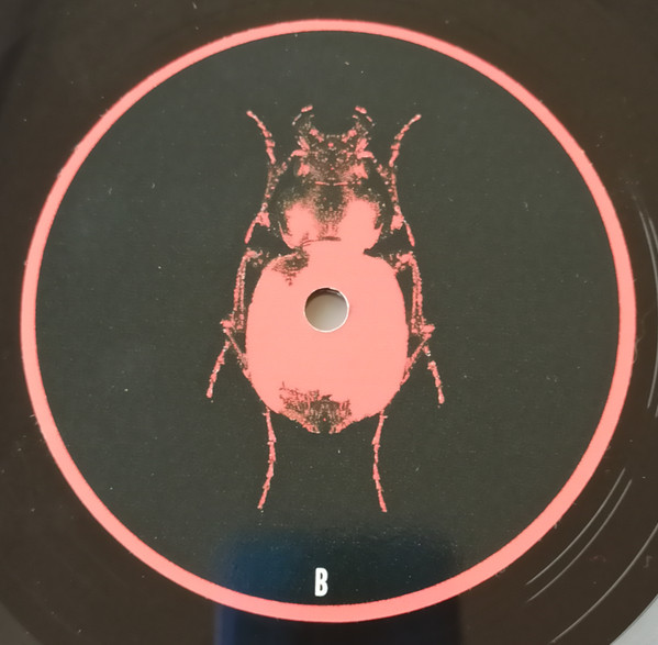 Pwcca - Dehumanize | Analog Section (AS006) - main