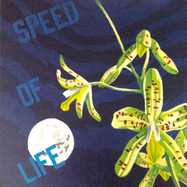 K15 - Speed Of Life | Wild Oats (WO-K1502)