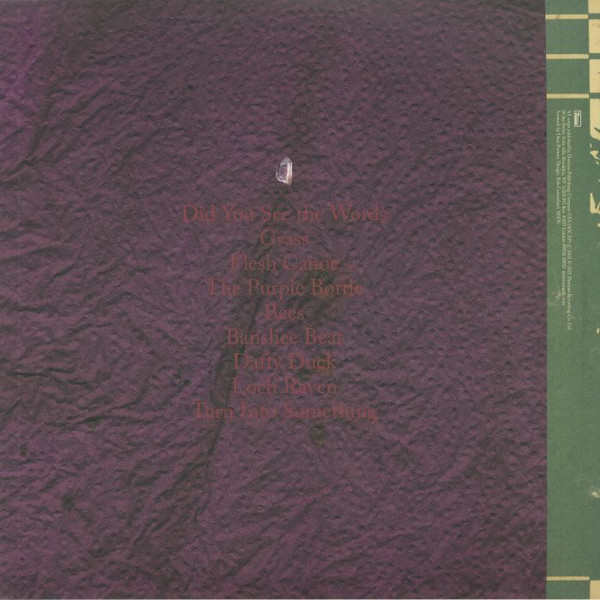 Animal Collective - Feels | Domino (AC008LP) - main
