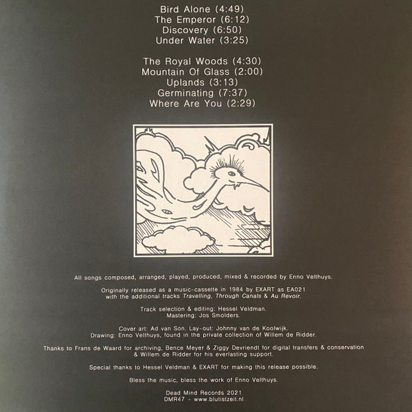 Enno Velthuys - A Glimpse Of Light | Dead Mind Records (DMR47) - 2 Enno Velthuys - A Glimpse Of Light | Dead Mind Records (DMR47) - 2