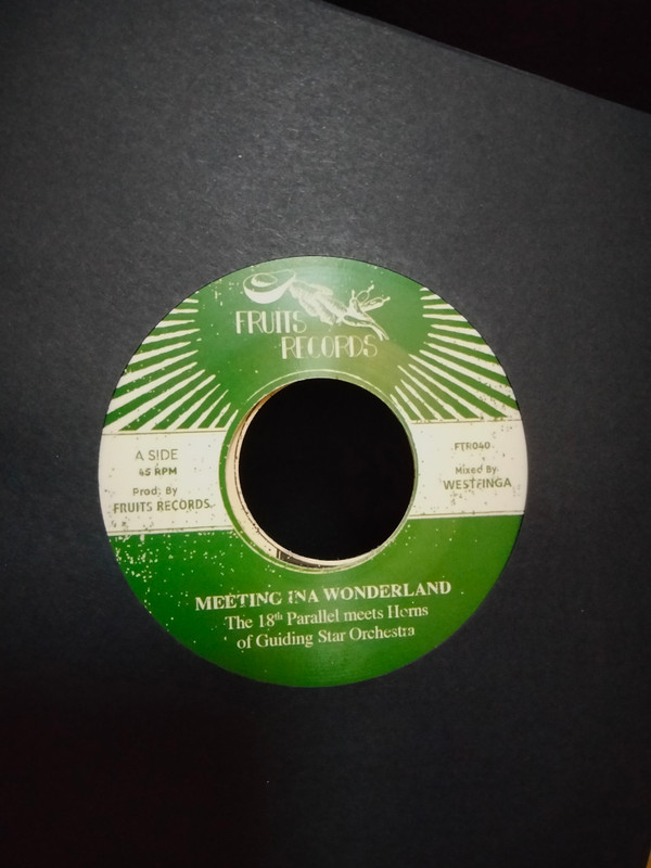 The 18th Parallel meets Horns Of Guiding Star Orchestra - Meeting Ina Wonderland | Fruits Records (FTR040)