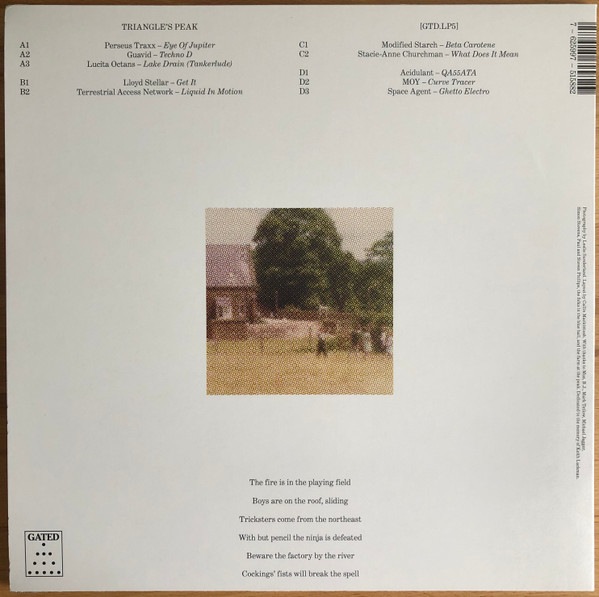 Various - Triangle's Peak | Gated (GTD.LP5) - 2