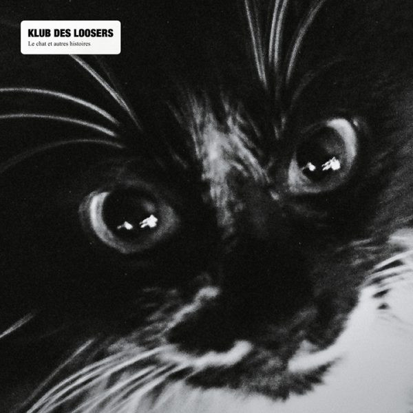 Klub Des Loosers - Le Chat Et Autres Histoires | Ombrage Éditions (OMBR-01) - main Klub Des Loosers - Le Chat Et Autres Histoires | Ombrage Éditions (OMBR-01) - main