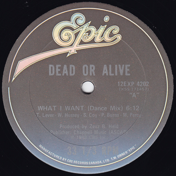 Dead Or Alive - What I Want (12") [Vinyl] | Epic (12EXP-04202) - 3