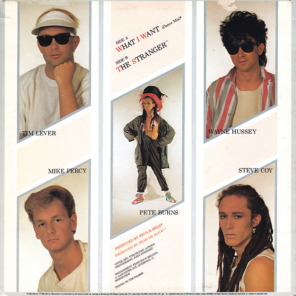 Dead Or Alive - What I Want (12") [Vinyl] | Epic (12EXP-04202) - 2