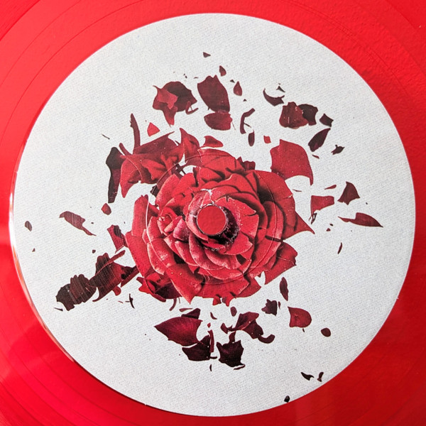 Various - Broken Flower (Vinyl Sampler) | Are You House? Records (AYHR0060) - 4 Various - Broken Flower (Vinyl Sampler) | Are You House? Records (AYHR0060) - 4