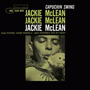 Capuchin Swing