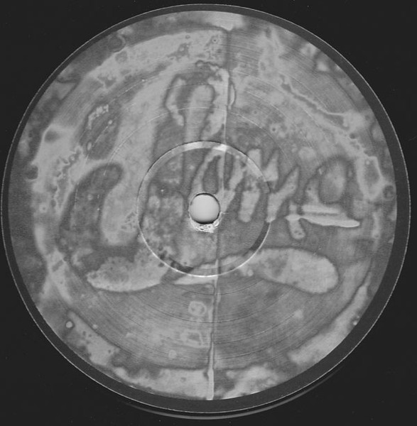 Rejuvination - Dr. Peter | Soma Quality Recordings (SOMA 018) - 3