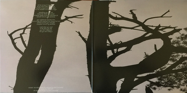 Jesu - Infinity | Avalanche Recordings (arec017v) - 3 Jesu - Infinity | Avalanche Recordings (arec017v) - 3