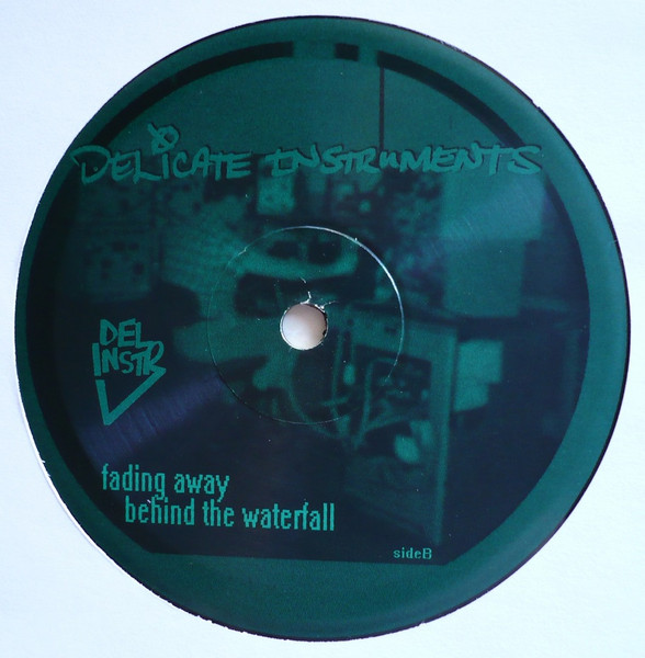 Delicate Instruments - Memory-1 | Shewey Trax (shew-27) - 2 Delicate Instruments - Memory-1 | Shewey Trax (shew-27) - 2