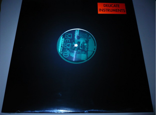 Delicate Instruments - Memory-1 | Shewey Trax (shew-27) - 3 Delicate Instruments - Memory-1 | Shewey Trax (shew-27) - 3
