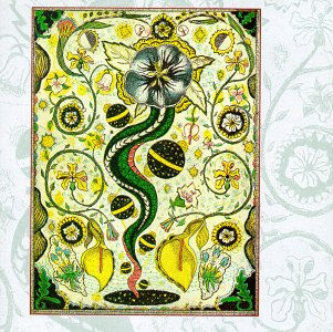 Steve Earle - I Feel Alright | Warner Bros. Records (9362-46201-2) - main