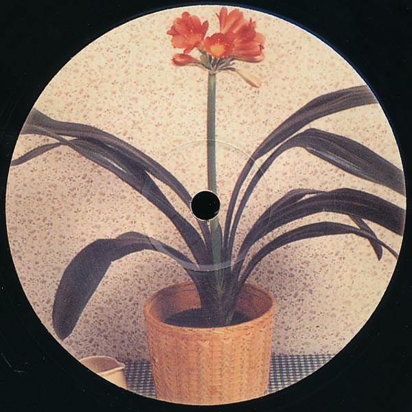 Takaaki Itoh - Nobody Can Take What Everybody Owns | Wols (WOLS 02) - main