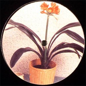 Takaaki Itoh - Nobody Can Take What Everybody Owns | Wols (WOLS 02) - 3