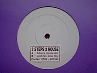 Unknown Artist - 3 Steps 2 House | Touch Records (TR002) - 2