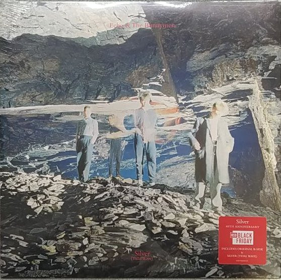 Echo & The Bunnymen - Silver (Tidal Wave) | Warner Records (5021732238634)