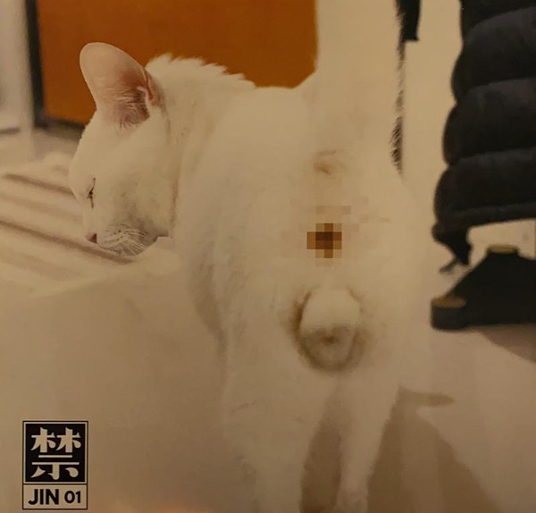 禁 JIN 01