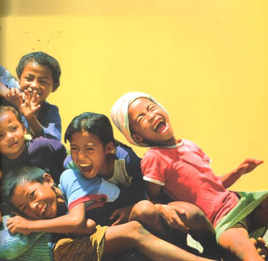 Various - Anima Latina Vol. 2 | Irma (IRMA 491031-1) - 4