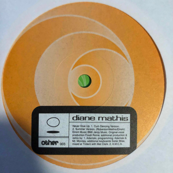 Diane Mathis - Never Give Up (Other Versions) | Other (other 003) - 3