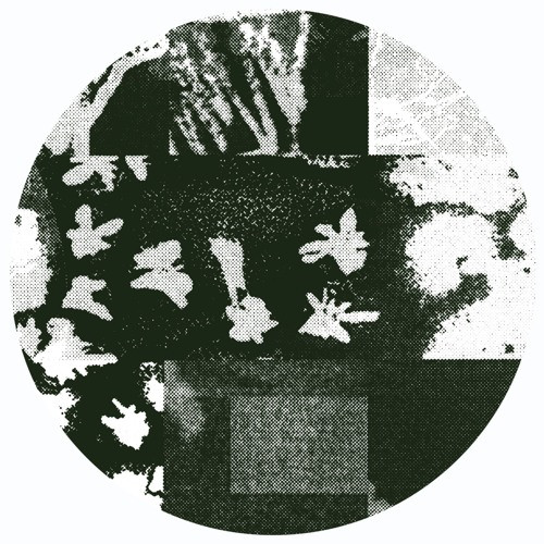 Hidden Spheres - This is 4u | Lobster UNDR (LT-UNDR-01) - main Hidden Spheres - This is 4u | Lobster UNDR (LT-UNDR-01) - main