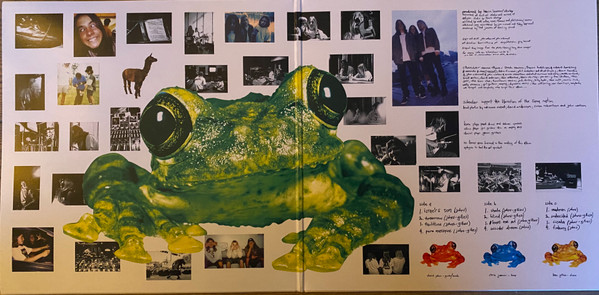 Silverchair - Frogstomp | Music On Vinyl (MOVLP2400) - 2 Silverchair - Frogstomp | Music On Vinyl (MOVLP2400) - 2