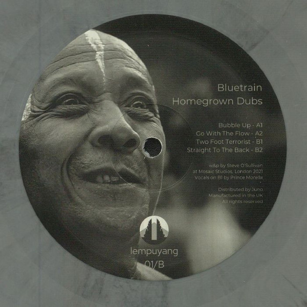 Bluetrain - Homegrown Dubs | Lempuyang (LPY-01)